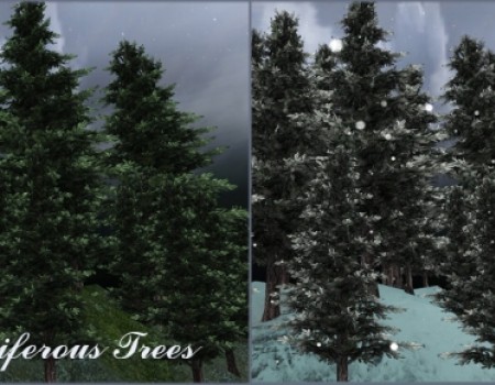 Coniferous & Oak Trees