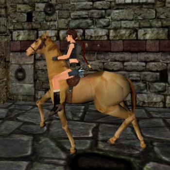 Riding Horse