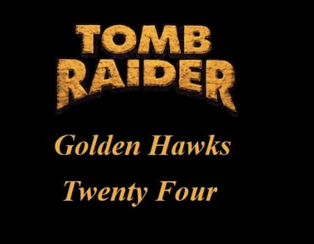 Golden Hawk Twenty Four
