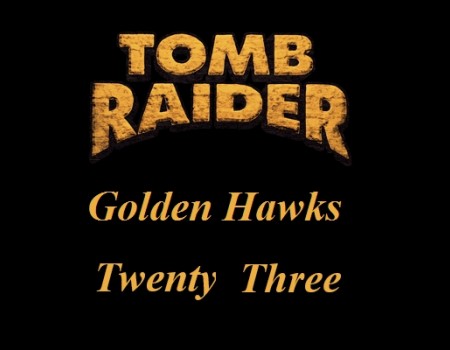 Golden Hawk Twenty Three