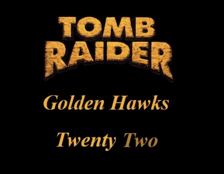 Golden Hawk Twenty Two