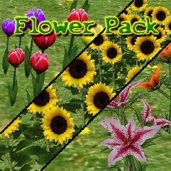 Flower Pack