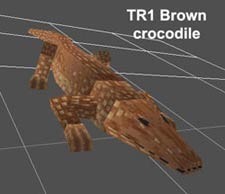 TR1 Brown crocodile