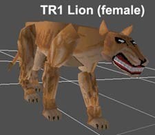 TR1 female Lion