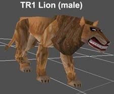 TR1 male Lion