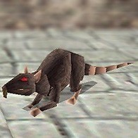 TR1 Rat