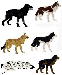Dog Wad