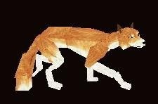 Fox *update*