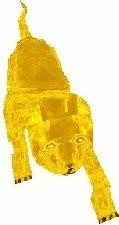 goldcat 