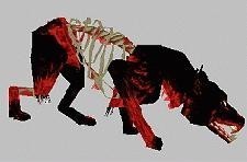 Hellhound (immortal)