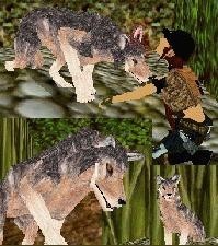 New Wolf