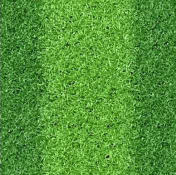 grass texture