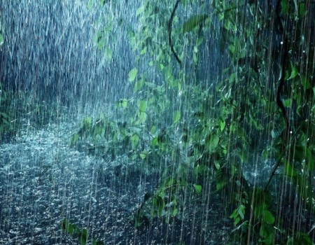 SFX : Water (Rain)