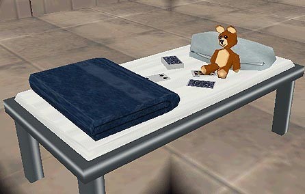 Military/Prison Beds