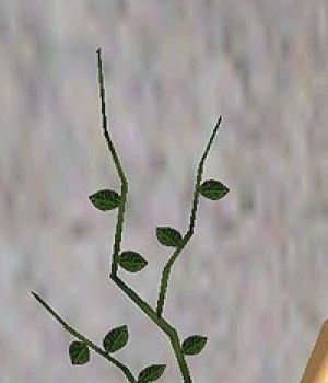 Tendril