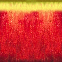 apple texture