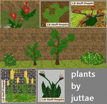 Plants