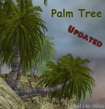 Palm Tree 