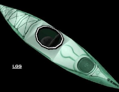 Kayak