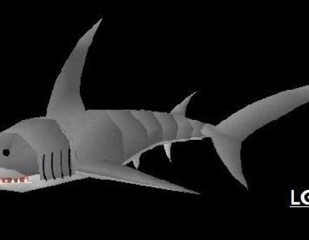 New Shark