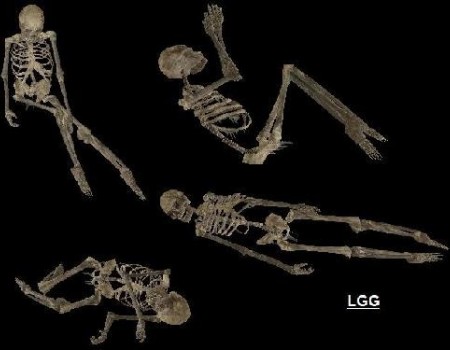 Static Skeletons