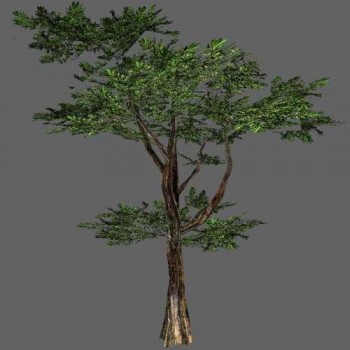 7 high-res Trees