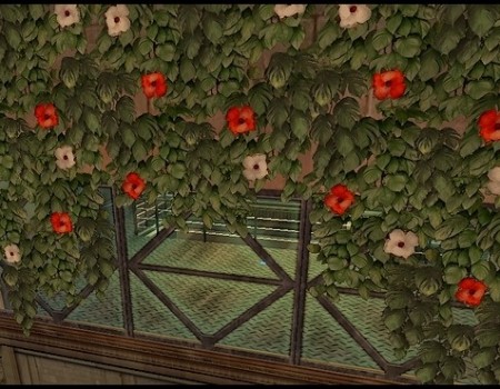 Ivy + Flowers