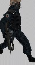 Condition Zero GSG9