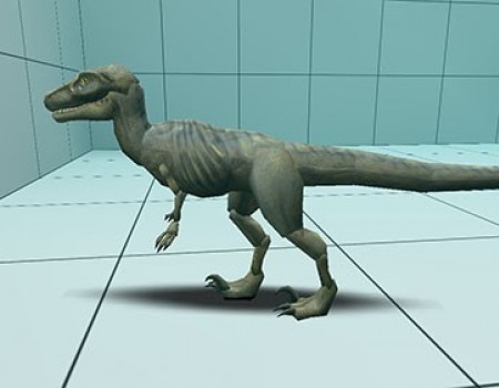 Brown Raptor *UPDATED*