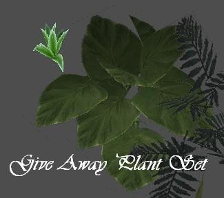 Give Away Plant set 1 