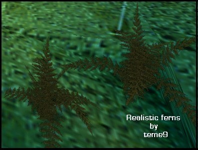 Realistic ferns