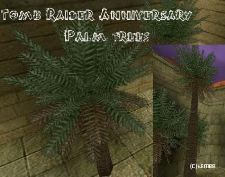 TRA Egypt palm trees