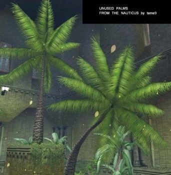 Unused palms from the Nauticus