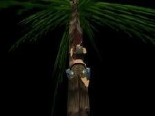 Palmé