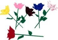 Roses