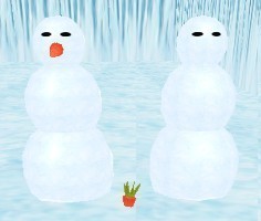 Snowman (carrotnose)