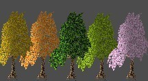 Trees (usable for my bees)