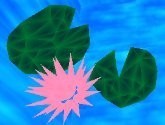 water lilies
