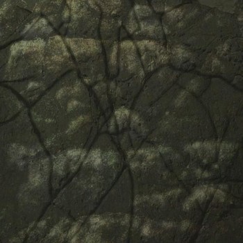 ALL Tomb Raider: Legend Textures