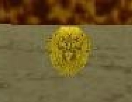 TR2 GOLD THE GOLDEN MASK