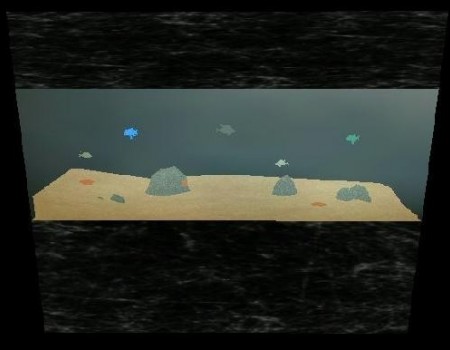 Aquarium