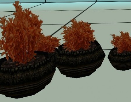 Autumn House Plants
