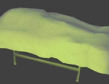 Dead Body in Hospital Bed