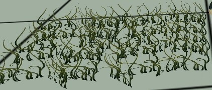 Fantasy Grass