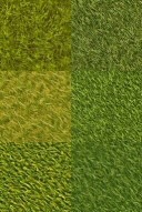 Grass Textures 2