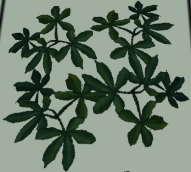 Ivy 2