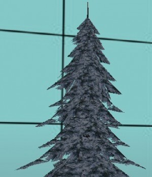 Snowy Pine Tree