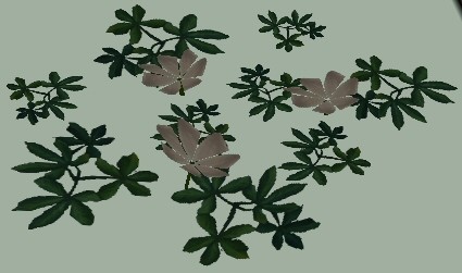 White Flowers