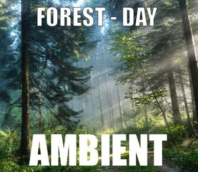 Ambient track - Forest : Day