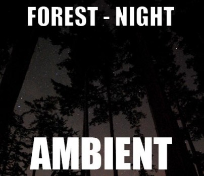 Ambient track - Forest : Night
